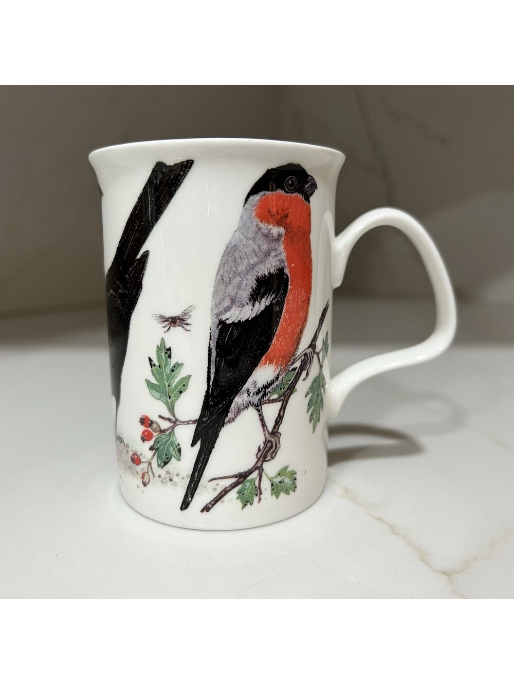 Roy Kirkham Garden Birds Bone China Mug Bird Watcher Bullfinch Song Thrush